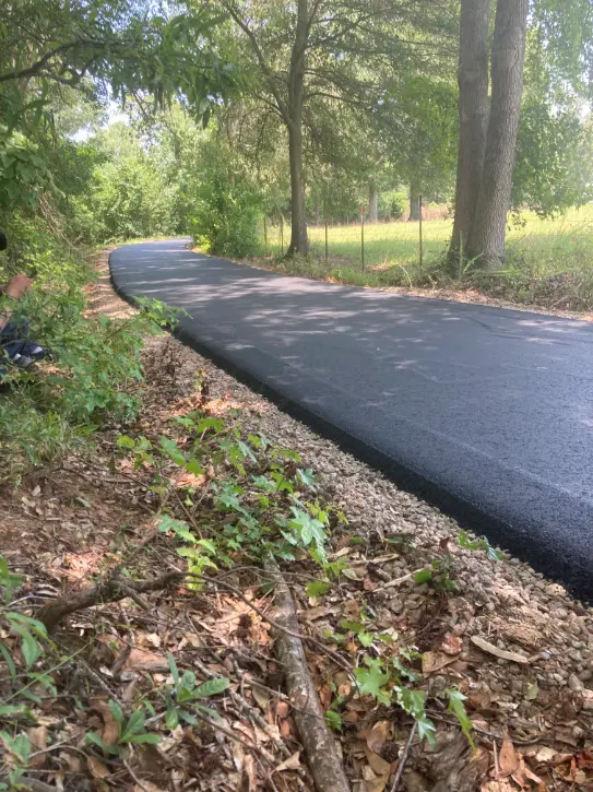 A freshly paved asphalt road through a wood